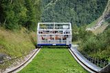© SZZV KÄRNTEN, Liebchen, Schafe Ziegen Aktuell